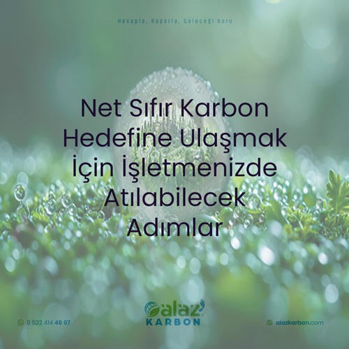 Net Sıfır Karbon Hedefine Ulaşmak İçin Atılabilecek Adımlar